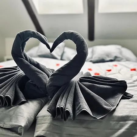 Apartment Elements & Renata *