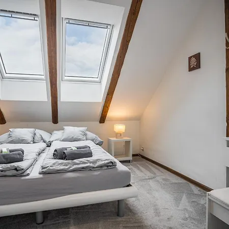 Apartment Elements & Renata Bozicany