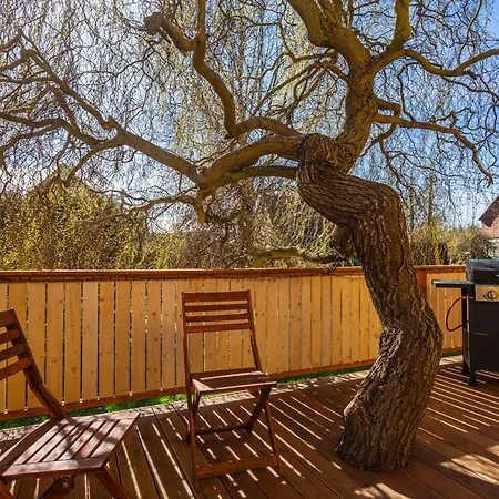 Elements & Renata Bozicany