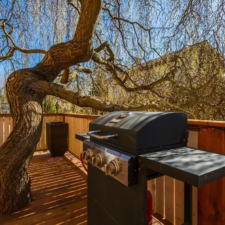 Elements & Renata * Bozicany