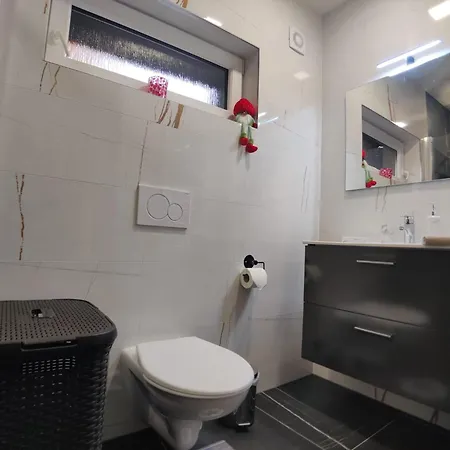 Apartment Elements & Renata Bozicany