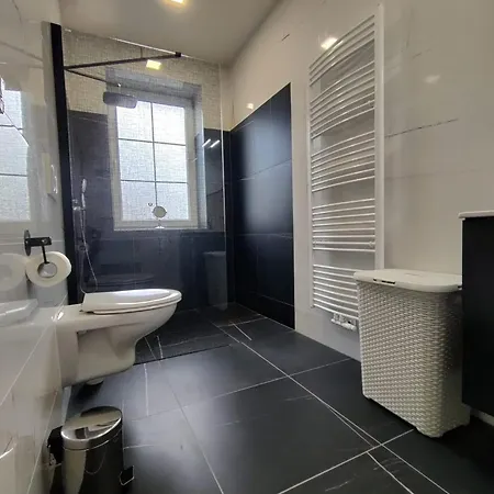 Elements & Renata Apartment Bozicany