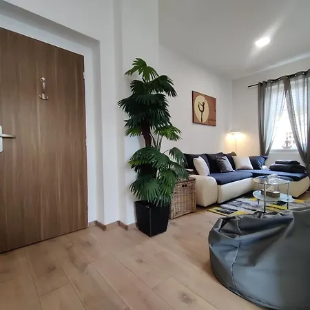 Apartment Elements & Renata Bozicany