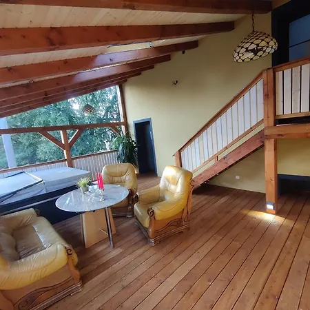 Apartment Elements & Renata Bozicany