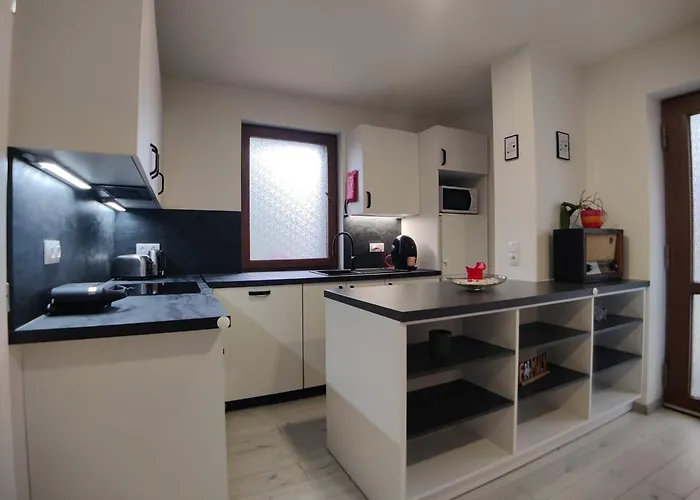 Apartament Elements & Renata *