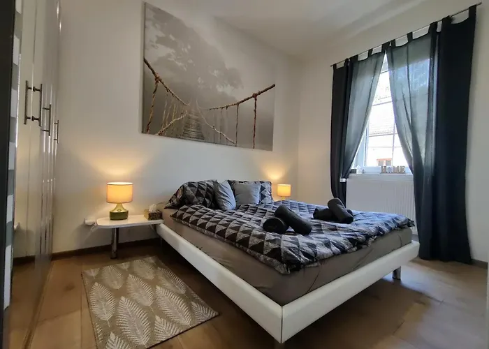 Apartament Elements & Renata Bozicany